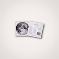 Mini Moon / No 41