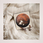 Mini Mars / No 61